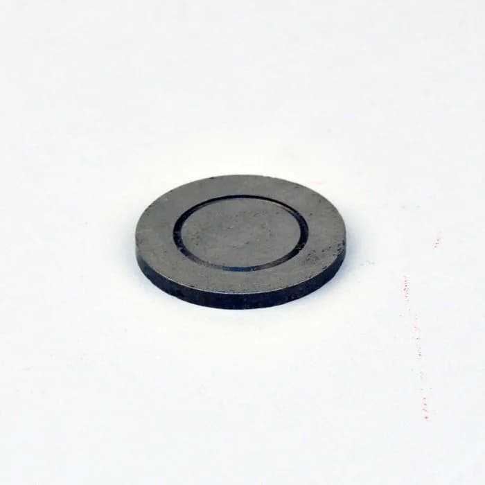 SCHLYER M009-003RK Steam Trap Disc Repair Kit 3/4" - 8322