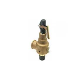 STERIS 10083098 Safety Valve 3/4" 45 PSI - 12928