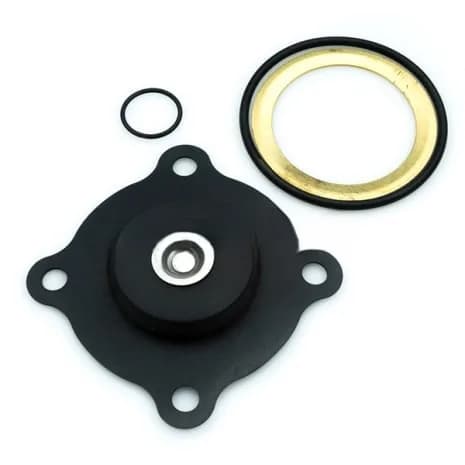 STERIS P764189-001 Valve Repair Kit 1-1/4" - 2309