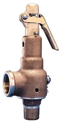 GETINGE 570107601 Safety Valve 3/4 x 1" 100 PSI - 8726
