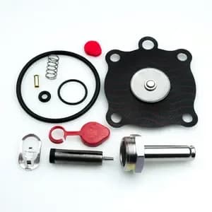 STERIS P117950-211 Water Valve Repair Kit 3/4" - 3487