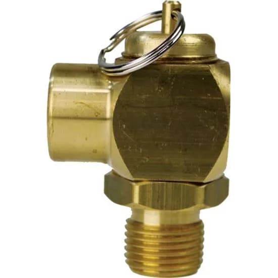 MARKET FORGE 10-7942 Safety Valve 1/2" 17 PSI - 2513