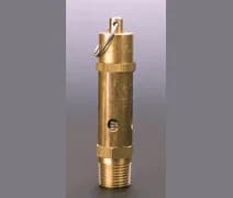 STORM MANUFACTURING 250052411 Safety Valve 40 PSI - 3217