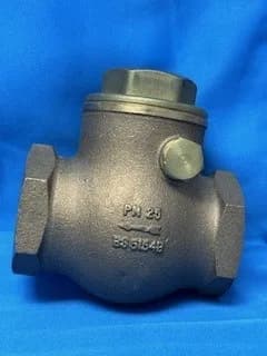 TUTTNAUER ARM172-0006 Check Valve Swing 1-1/4" - 8193