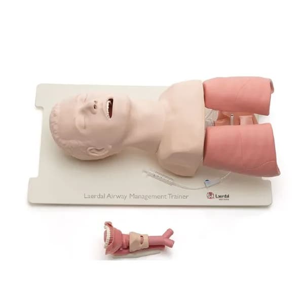 Airway Management Trainer, 25000033 - Laerdal
