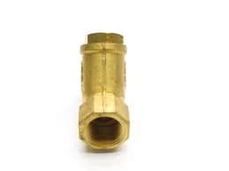 GETINGE 513699 Check Valve 1" - 2938