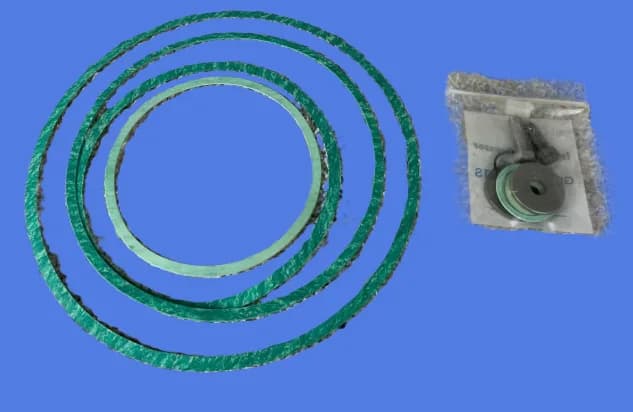 FLOWSERVE OGASKT-12 Gasket Kit - 12842